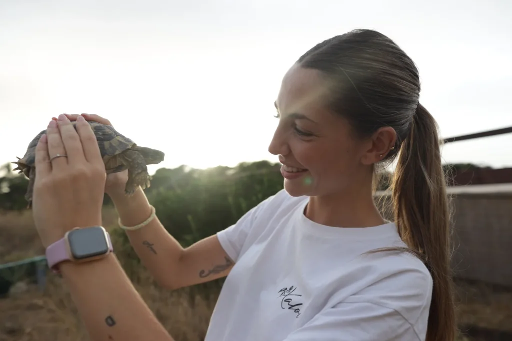 After the Floods: Saving Spain’s Turtles | Documentary