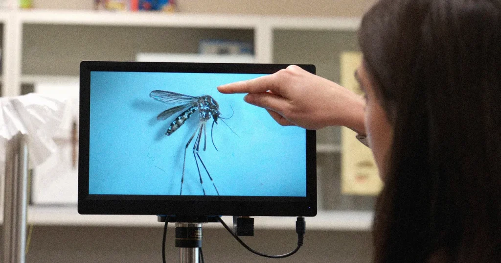 An Invasive Disease-Carrying Mosquito Has Spread to the Rocky Mountains An Invasive Disease-Carrying Mosquito Has Spread to the Rocky Mountains