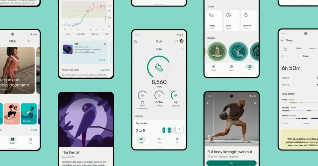 Fitbit's food log is broken in widespread partial outage