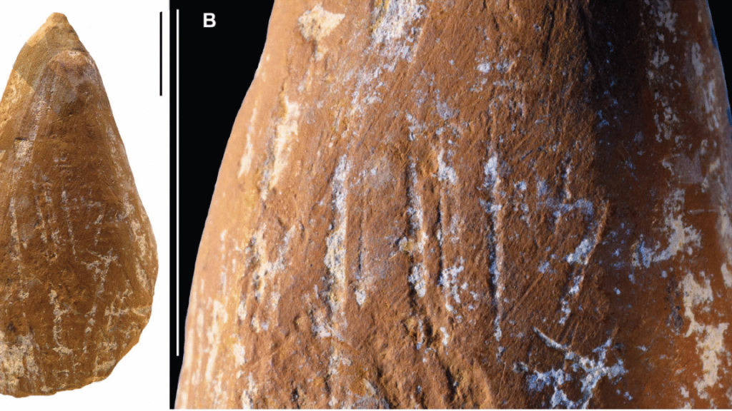 Wear marks suggest Neanderthals made ocher crayons Photo of a yellow-brown rock with a pointed tip